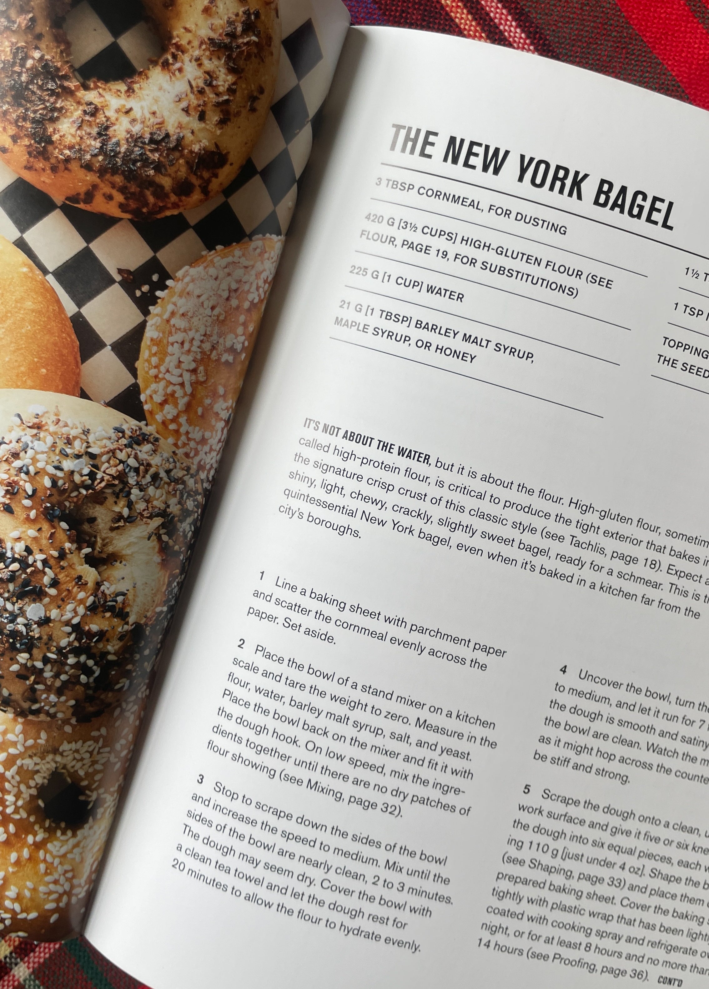 Bagels, Schmears, and A Nice Piece of Fish