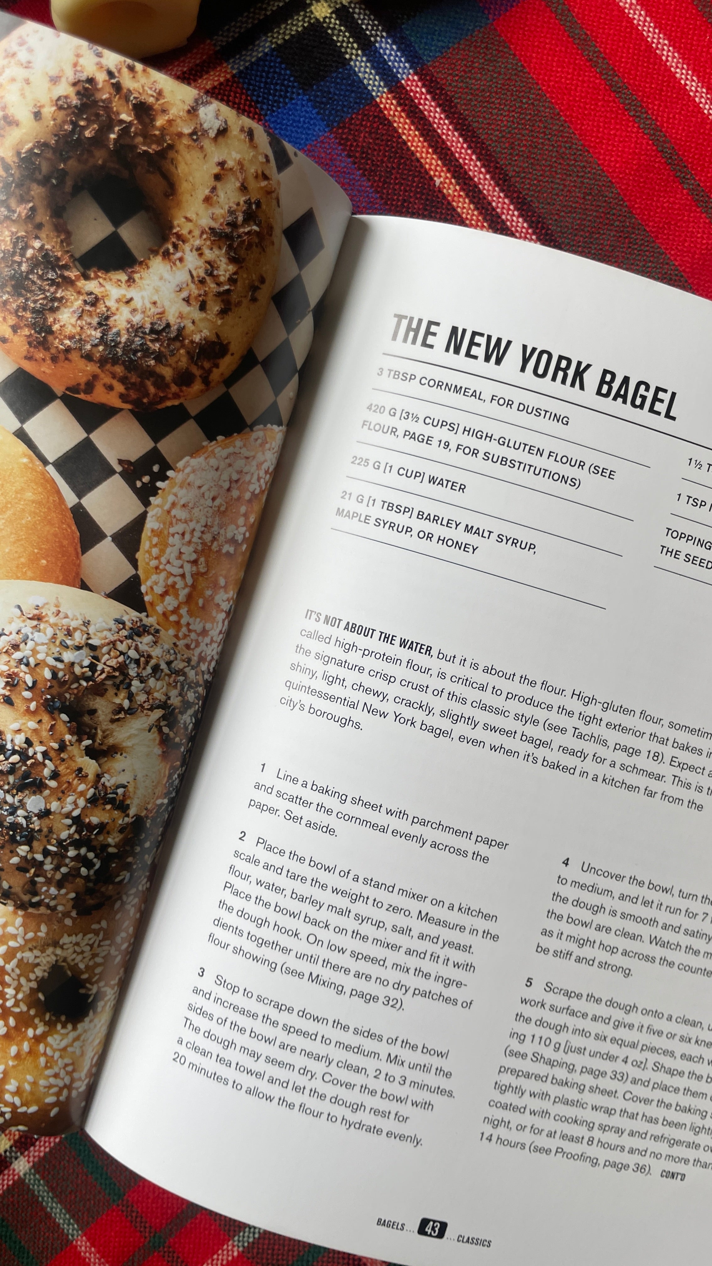 Bagels, Schmears, and A Nice Piece of Fish